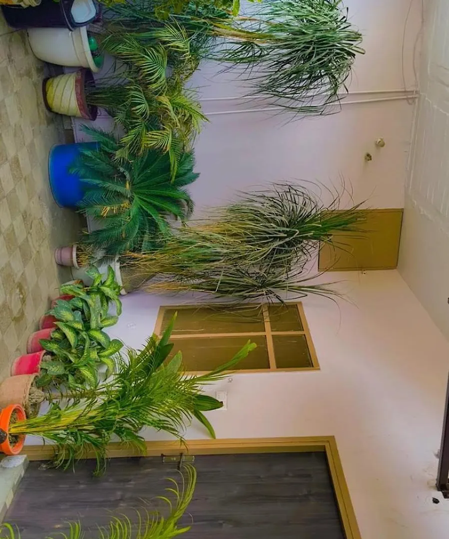 Banaras Home Stay Varanasi Pansiyon