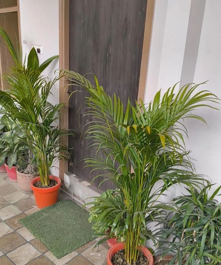 Banaras Home Stay Varanasi Hindistan